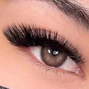 Dramatic Cat Eye False Lashes